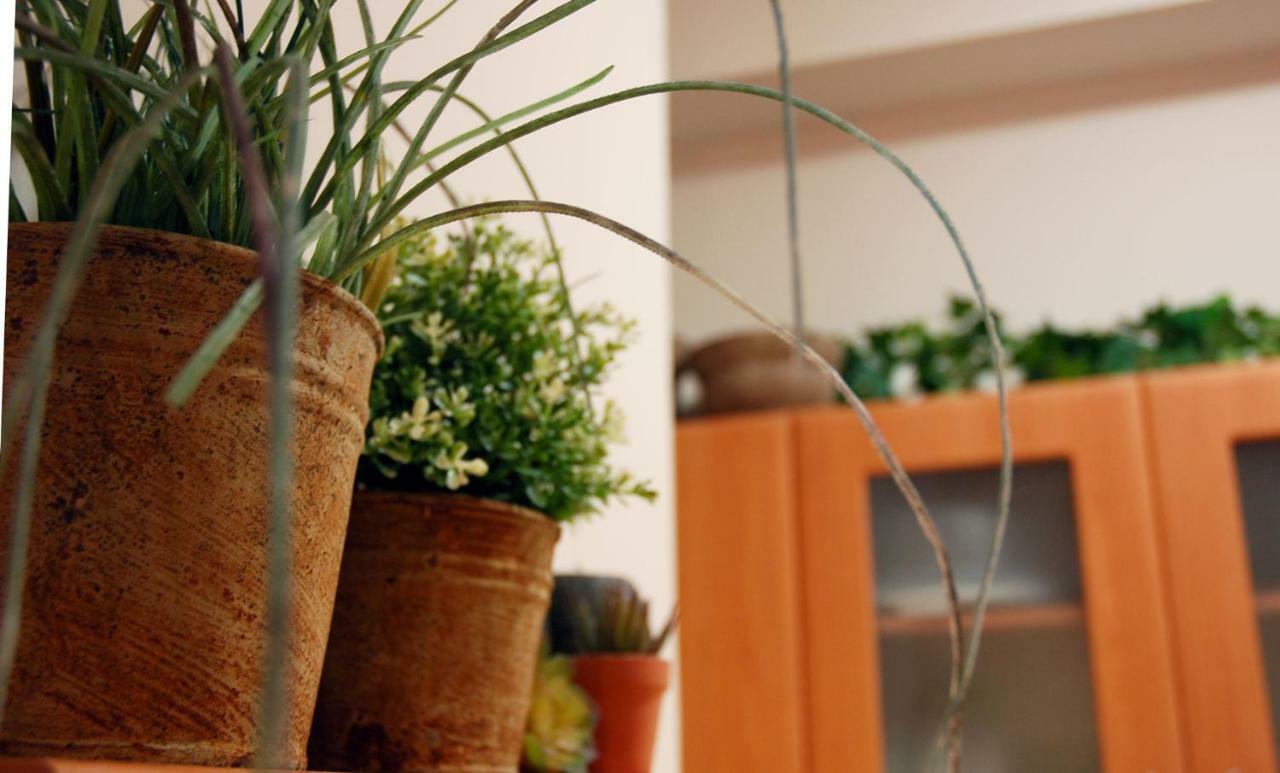 Acropolis, Urban Lifestyle Apartment Athens Exterior photo